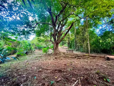 ¡Descubra una propiedad comercial y residencial excepcional a pasos del océano en Mal País, Costa Rica!