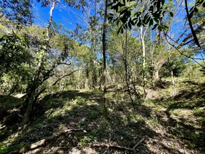 Invest in Nature: Private 5,000 m² Jungle Lots In Mal Pais Minutes from the Beach 2