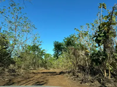 Expansive 4.2 Hectare Farm & Land in San Martín, Nicoya, Guanacaste – A Costa Rican Dream 1