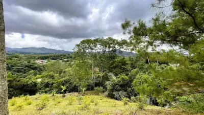 Commercial Lot For Sale In San Miguel, Naranjo 3