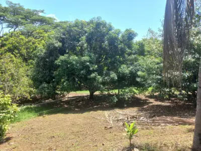 1.1 Acres of Prime Tropical Land in Tarcoles, Puntarenas - Ready for Your Dream Home 5