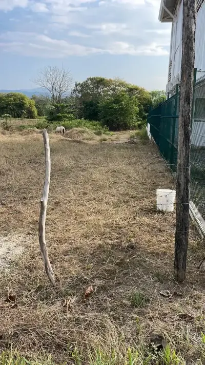 Impresionante propiedad con vista al mar en Playa Hermosa de Jaco 5