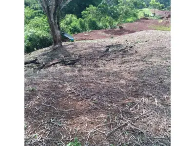 Beautiful Plot Of Land In Bijagual 3