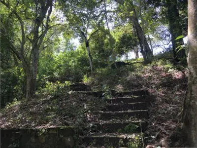 Lot of 1227.74 sq m, in La Guácima, Alajuela, surrounded by nature and urban growth. 5