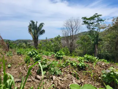 Ocean View Property in Mal Pais 3