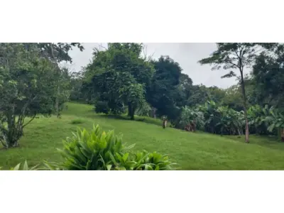 Casa práctica en Manuel Antonio 2