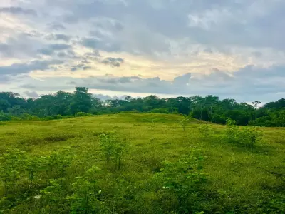 Exclusive Ocean View 2,7 hectares (6.8Acres) Estate Land in Playa Hermosa Hills 2