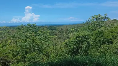 Terreno Garabito: Lote de 4 Acres en Comunidad Eco Desarrollo 2
