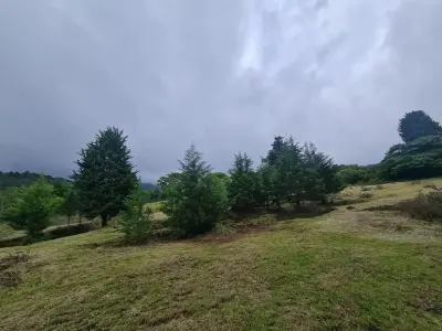 Farm for sale in San Isidro-Grecia, Alajuela 2