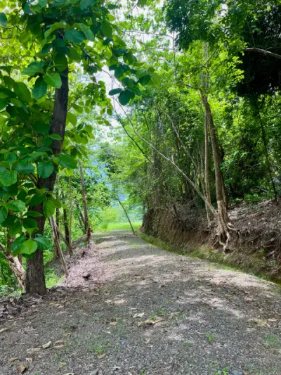 Stunning Ocean & Mountian View Land in Tambor in a Gated Community and Minutes from the Ocean 5