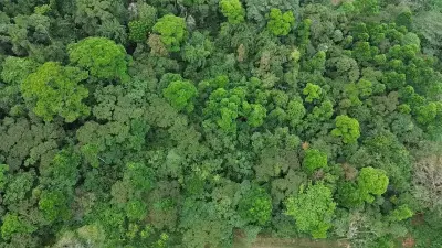 VENTA / Finca de ensueño en la provincia de ALAJUELA 2