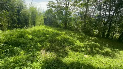 Terreno en Venta en Tarbaca un Entorno Natural y Tranquilo 2