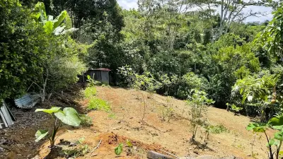 Land For Sale In Zaragoza, Palmares 5