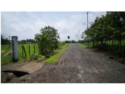 Lote plano en Turrucares 3