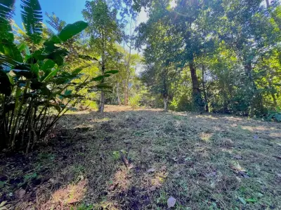 Discover an exceptional commercial and residential property steps from the ocean in Mal País, Costa Rica! 4