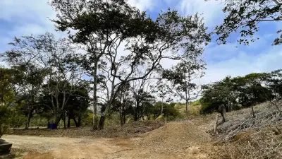 Lot For Sale In San Pedro, San Ramon 4