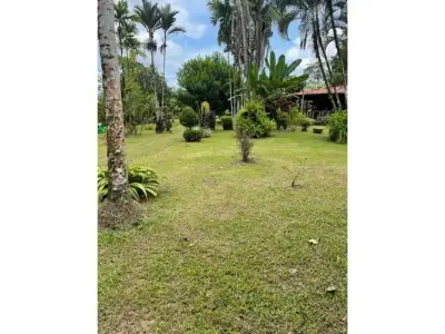 Caribbean Paradise, Guacimo, Limon 3