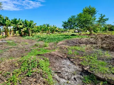Expansive 4200sqm Land for Development or Farming near Playa Palo Seco, Parrita 4