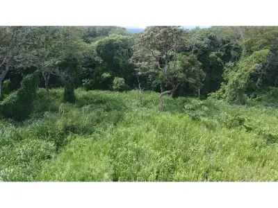 Selling a large lot in La Garita, Alajuela 3
