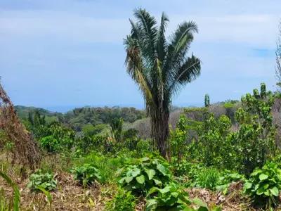 Ocean View Property in Mal Pais 2