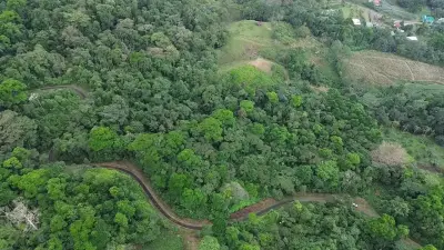 VENTA / Finca de ensueño en la provincia de ALAJUELA 5