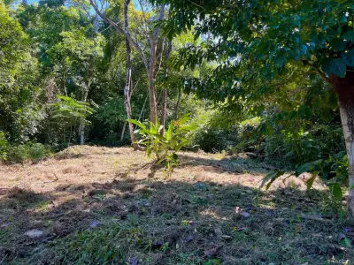 Discover an exceptional commercial and residential property steps from the ocean in Mal País, Costa Rica! 5