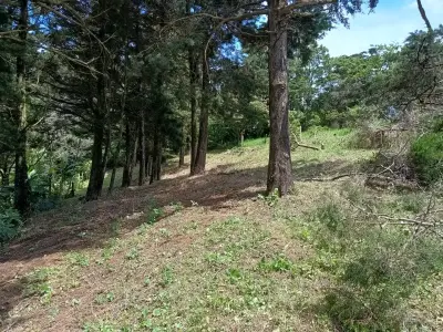 Prime Lot in Santa Elena, Monte Verde - Build Your Dream! 3