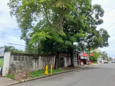 Terreno comercial de primera categoría en la calle Lapa Verde | Oportunidad de inversión de 931 m² en Jacó 2