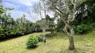 Lot With House For Sale In San Ramón, Alajuela 2