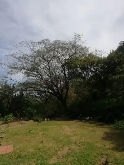 Beautiful lot in Santa Ana for a Developer 4