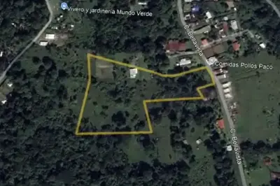 For Sale: Guapiles, Limón: Vast 6.2 Hectare Farm 2