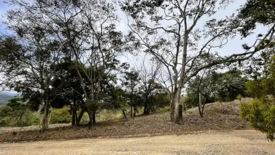 Lot For Sale In San Pedro, San Ramon 2