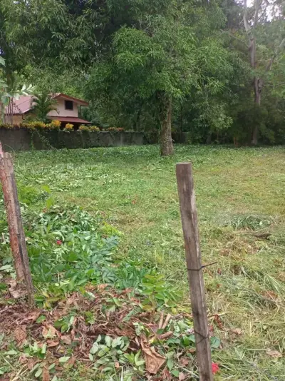 Lote con ubicación estratégica en Las Monas, Jacó – Cerca de playas, cascadas y todos los servicios. 3