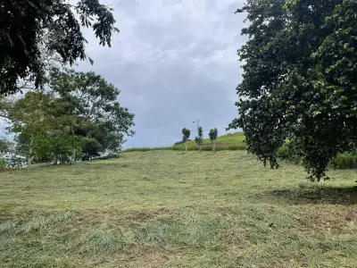 Land for sale of 502 m² in San Miguel, Naranjo - USD 50,000 5