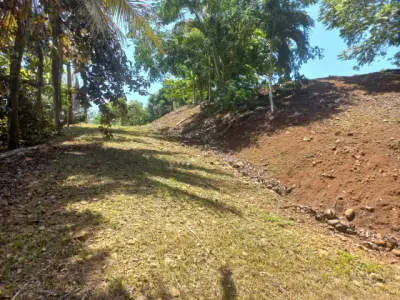 1.1 Acres of Prime Tropical Land in Tarcoles, Puntarenas - Ready for Your Dream Home 4