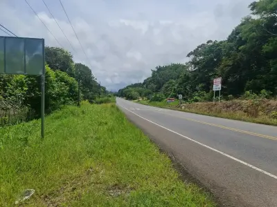 Farm for sale in Bejuco 3