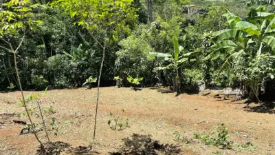 Land For Sale In Zaragoza, Palmares