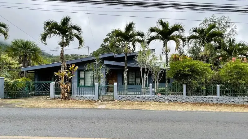 Palmares
