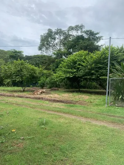 345 M² Lot For Sale In Manzanillo – Near Santa Teresa & Playa Hermosa And Minutes To The Beach 