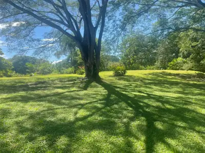 Un paradis caché à Orotina : 4 919 m² pour créer la vie dont vous rêvez 4