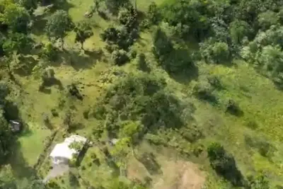 À Vendre : Guapiles, Limón : Vaste ferme de 6,2 hectares 5