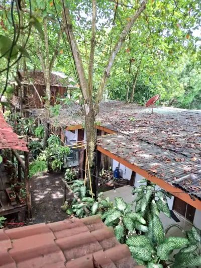Racines rustiques, possibilités infinies – Le projet de rêve d’un surfeur à Playa Hermosa, Jacó 3
