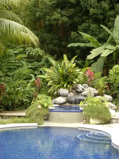 Près de 90 hectares de beauté jungle intacte avec vue imprenable sur l'océan, à quelques pas de la plage dans la Zone Bleue du Costa Rica. 5
