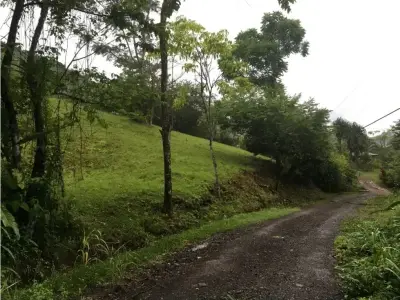 Superbe opportunité d'acquérir votre terrain à Playa Hermosa, Jaco 3