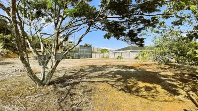 Grand Lot À Vendre À San Pedro, San Ramón 3