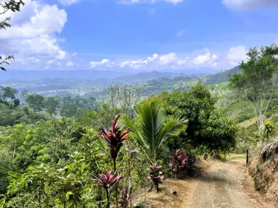 Terrain à vendre à Athènes, Alajuela 4