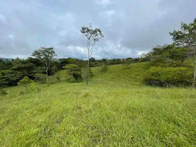 À Vendre : Ferme à développer à Puriscal 1