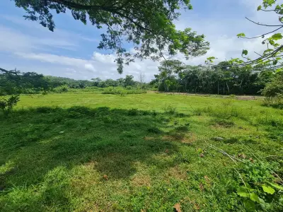 Ferme à vendre à Bejuco 2