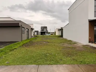 Lot for Sale in Grecia 2