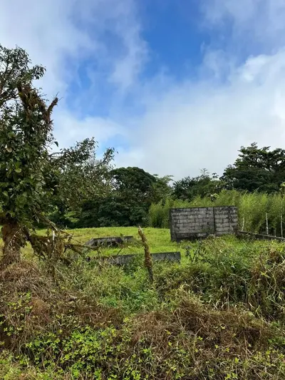 Vaste finca agricole à Parcelas de Zapotal, San Ramón, Alajuela 4
